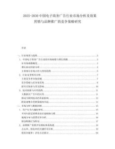 2025-2030中國電子商務廣告行業市場分析及效果營銷與品牌推廣的競爭策略研究