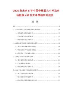 2026及未來5年中國帶線圓頭小米泡市場數(shù)據(jù)分析及競爭策略研究報告