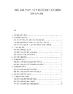 2025-2030中國電子商務服務行業綜合競爭力創新發展趨勢規劃