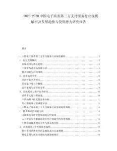 2025-2030中國電子商務第三方支付服務行業現狀解析及發展趨勢與投資潛力研究報告