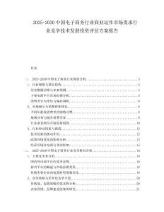 2025-2030中國電子商務行業商業運作市場需求行業競爭技術發展投資評估方案報告