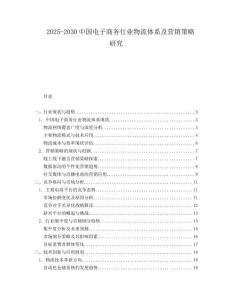 2025-2030中國電子商務行業物流體系及營銷策略研究