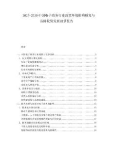 2025-2030中國電子商務行業政策環境影響研究與品牌投資發展前景報告