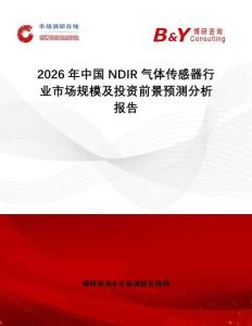 2026年中國NDIR氣體傳感器行業市場規模及投資前景預測分析報告