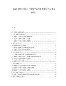 2025-2030中國電子商務平臺行業基準研究及市場前景