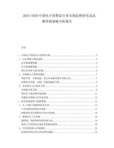 2025-2030中國電子消費品行業市場趨勢研究及品牌營銷策略分析報告