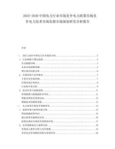 2025-2030中國電力行業市場競爭電力政策市場競爭電力技術市場發展市場規劃研究分析報告