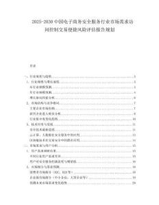 2025-2030中國電子商務安全服務行業市場需求訪問控制交易便捷風險評估報告規劃