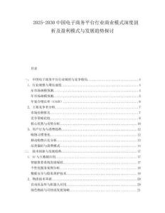 2025-2030中國電子商務平臺行業商業模式深度剖析及盈利模式與發展趨勢探討