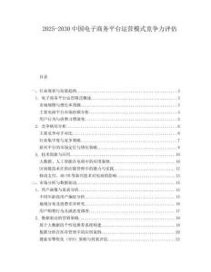2025-2030中國電子商務平臺運營模式競爭力評估
