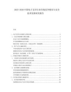 2025-2030中國電子支付行業市場競爭格局與安全技術發展研究報告