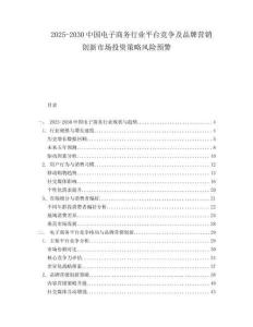 2025-2030中國電子商務行業平臺競爭及品牌營銷創新市場投資策略風險預警