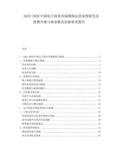 2025-2030中國電子商務市場精細運營深度研究及消費升級與商業模式創新研究報告