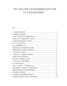 2025-2030中國電子商務發展策略研究及用戶體驗與平臺競爭深度分析報告