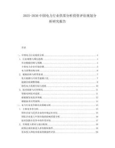 2025-2030中國電力行業供需分析投資評估規劃分析研究報告