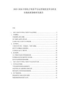 2025-2030中國電子商務平臺運營現狀競爭分析及市場拓展策略研究報告
