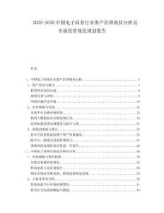 2025-2030中國電子商務行業黑產治理現狀分析及市場投資規范規劃報告