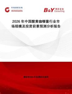 2026年中國酸黃咖喱醬行業市場規模及投資前景預測分析報告