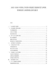 2025-2030中國(guó)電子商務(wù)市場(chǎng)流行創(chuàng)新研究與網(wǎng)絡(luò)營(yíng)銷(xiāo)投資與銷(xiāo)售模式研究報(bào)告