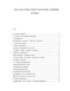 2025-2030中國電子商務平臺競爭分析與發展策略研究報告