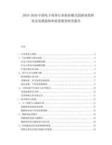 2025-2030中國電子商務行業商業模式創新深度研究及發展趨勢和前景展望研究報告