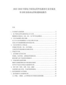 2025-2030中國電子商務運營外包服務行業市場競爭分析及商業運營機遇規劃報告