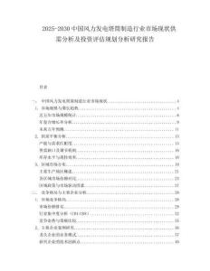 2025-2030中國風力發電塔筒制造行業市場現狀供需分析及投資評估規劃分析研究報告