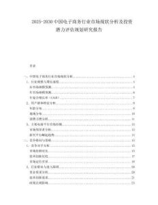 2025-2030中國電子商務行業市場現狀分析及投資潛力評估規劃研究報告