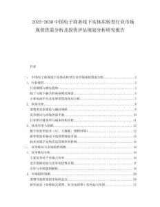 2025-2030中國電子商務線下實體店轉型行業市場現狀供需分析及投資評估規劃分析研究報告
