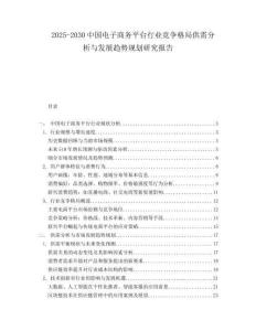 2025-2030中國電子商務平臺行業競爭格局供需分析與發展趨勢規劃研究報告