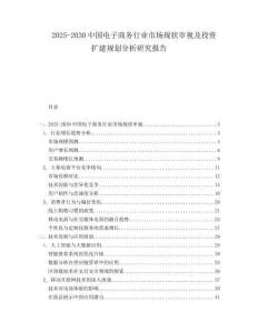 2025-2030中國電子商務行業市場現狀審視及投資擴建規劃分析研究報告