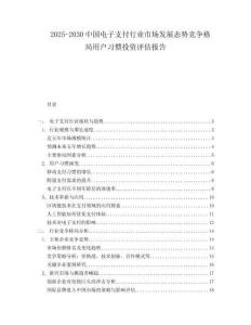 2025-2030中國電子支付行業市場發展態勢競爭格局用戶習慣投資評估報告