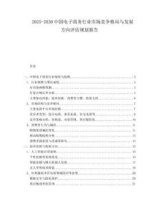 2025-2030中國電子商務行業市場競爭格局與發展方向評估規劃報告