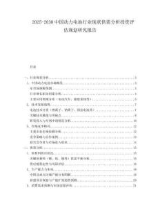 2025-2030中國動力電池行業現狀供需分析投資評估規劃研究報告