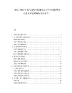 2025-2030中國風力發電場建設運營行業市場供需動態分析發展規劃評估報告