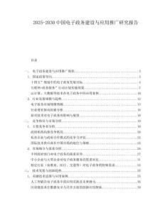 2025-2030中國電子政務建設與應用推廣研究報告