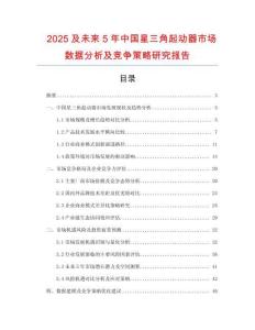 2025及未來5年中國星三角起動器市場數(shù)據(jù)分析及競爭策略研究報(bào)告