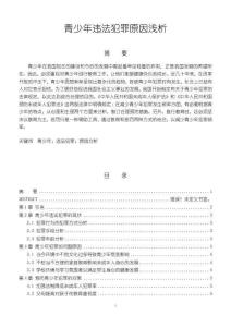 《【青少年違法犯罪原因淺析】6700字》