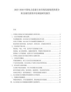 2025-2030中國電力設備行業市場發展現狀供需分析及現代投資評估規劃研究報告