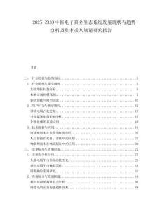 2025-2030中國電子商務生態系統發展現狀與趨勢分析及資本投入規劃研究報告