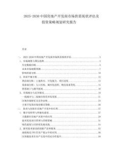 2025-2030中國房地產開發商市場供需現狀評估及投資策略規劃研究報告