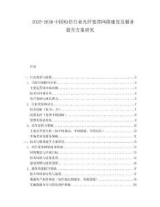 2025-2030中國電信行業光纖寬帶網絡建設及服務提升方案研究