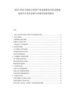 2025-2030中國電子商務產業發展格局分析及跨境電商平臺競爭態勢與市場空間研究報告