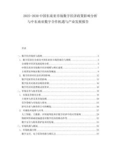 2025-2030中國東南亞市場數字經濟政策影響分析與中東南亞數字合作機遇與產業發展報告