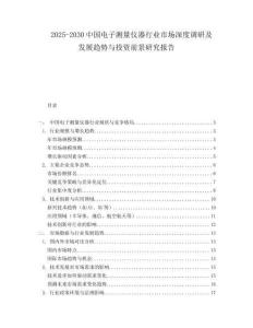 2025-2030中國電子測量儀器行業市場深度調研及發展趨勢與投資前景研究報告