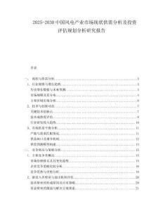2025-2030中國風電產(chǎn)業(yè)市場現(xiàn)狀供需分析及投資評估規(guī)劃分析研究報告