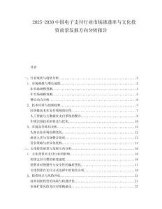 2025-2030中國電子支付行業市場滲透率與文化投資前景發展方向分析報告