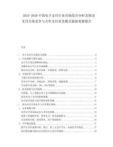 2025-2030中國電子支付行業市場綜合分析及移動支付市場競爭與合作支付業務模式最新觀察報告
