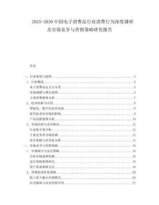 2025-2030中國電子消費品行業消費行為深度調研及市場競爭與營銷策略研究報告
