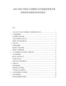 2025-2030中國電子顯微鏡行業市場現狀供需分析及投資評估規劃分析研究報告